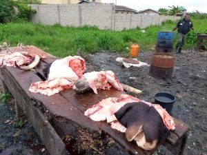 Lagos Dismantles Illegal Slaughter Slab, Arrests 10 Butchers